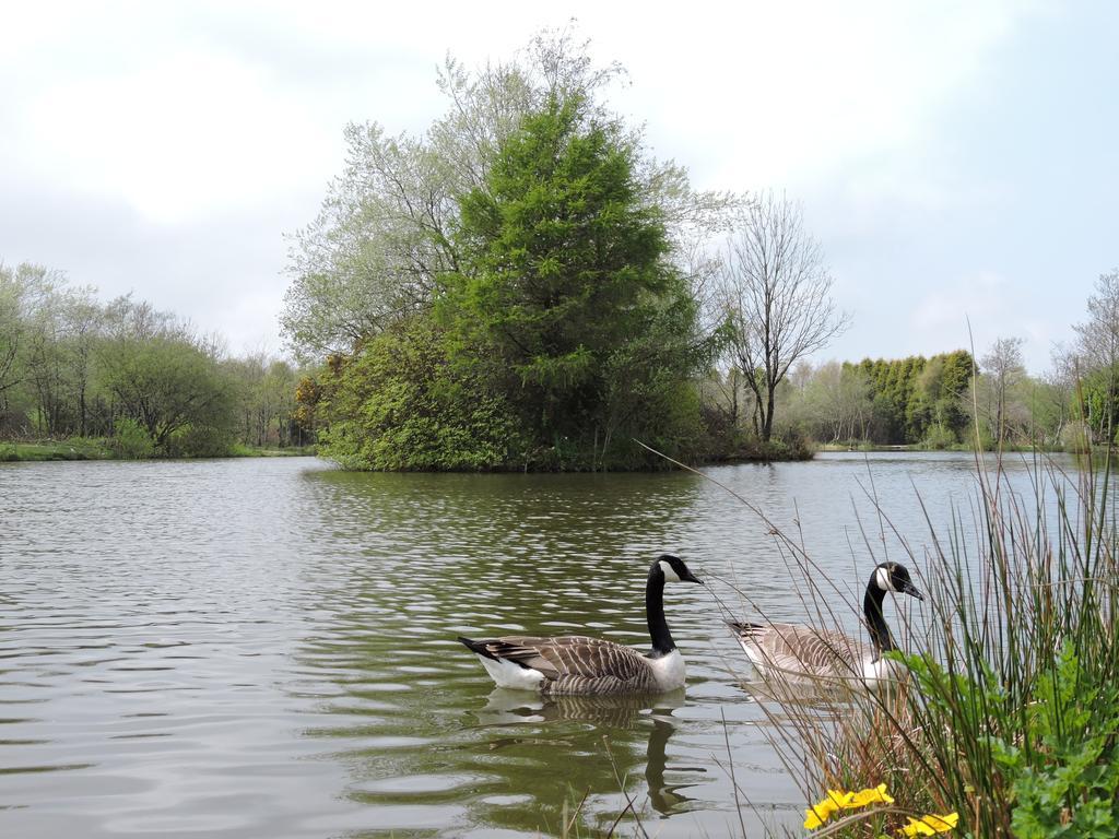 Bodmin Holiday Park Lanivet Екстериор снимка